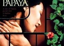 青木瓜之味,探寻东南亚风情与人生哲理的交织