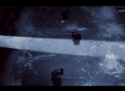 鬼猫凶宅,揭秘惊悚事件的神秘面纱