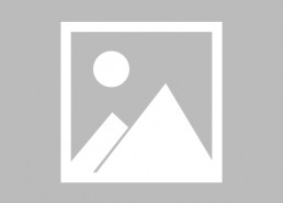 看不见的守护者,无形守护者的神秘力量