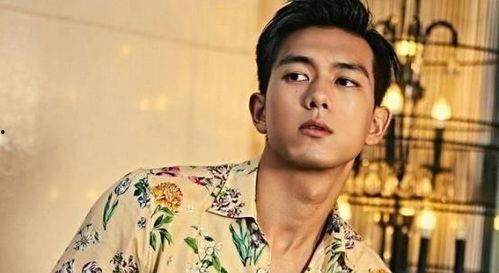 娱乐吃瓜老牌男星是谁呀,吃瓜群众热议的“老牌男星”究竟是谁？